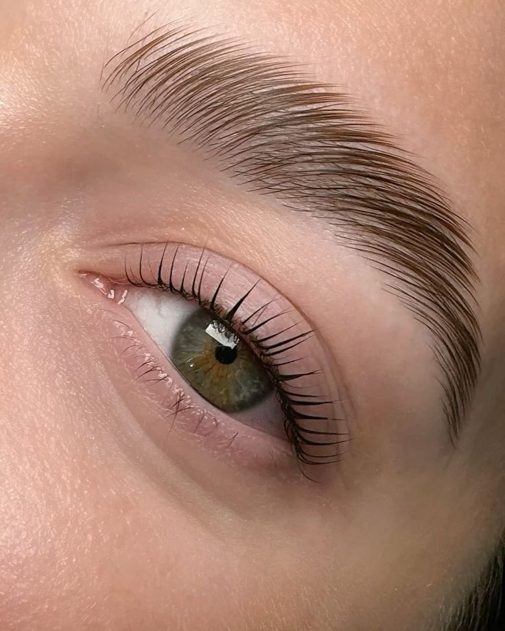 Brow lamination
